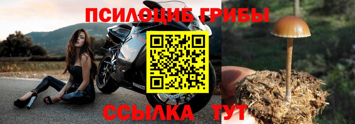 Псилоцибиновые грибы Magic Shrooms  Вход с VPN  Маркс 